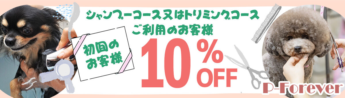 初回トリミング10%OFF