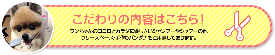 P-Forever新琴似の自宅トリミングハウスのこだわり。