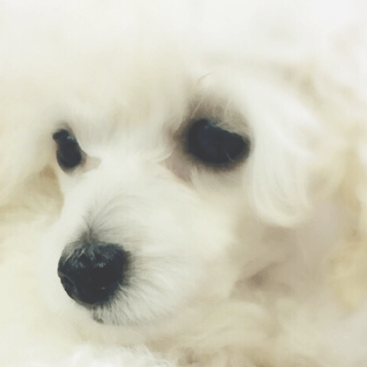 GWのお知らせ